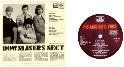 Downliners Sect Downliners Sect Swedish vinyl LP album (LP
